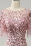 Pink Butterfly Sleeves Appliques Mermaid Long Mother of the Bride Dress