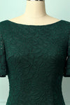 Hunter Green Butterfly Sleeves Sheath Lace Mini Mother of the Bride Dress
