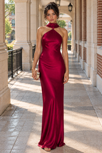 Fashion Satin Fitted Sleeveless Open Back Zipped Long Party Prom Dress
