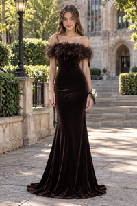 Feather Off-Shoulder Velvet Mermaid Long Party Prom Dress With Train
