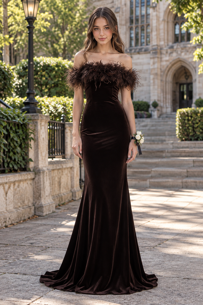 Feather Off-Shoulder Velvet Mermaid Long Party Prom Dress With Train