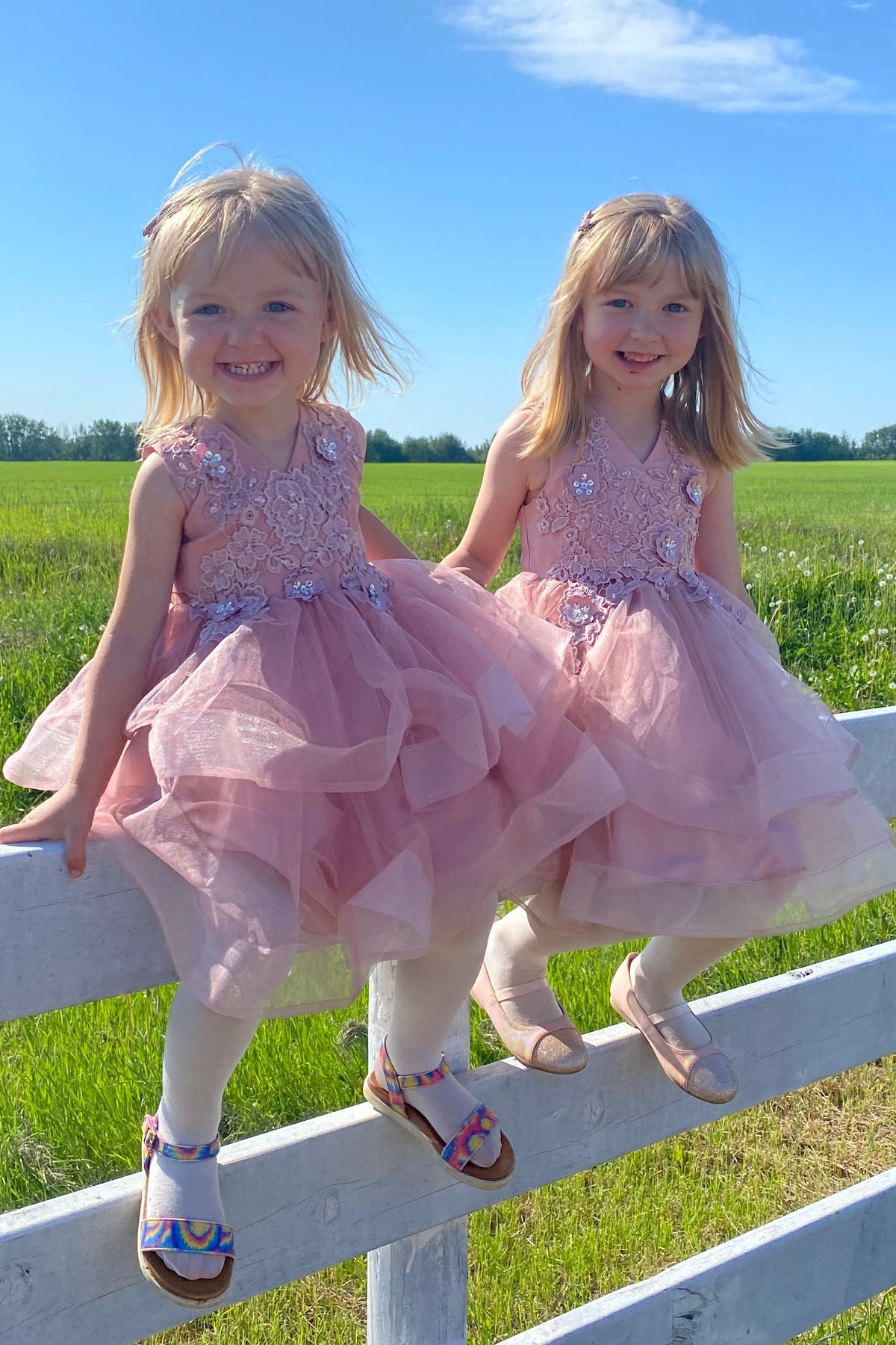 Pink V-Neck Sleeveless A-Line Tiered Tulle Flower Girl Dress