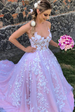 Princess A-line Spaghetti Strap Pink Wedding Dress with Lace