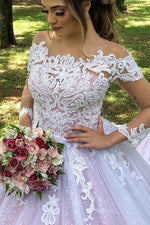 Princess Long Sleeves Illusion Neck A-line Pink Wedding Dress with Lace