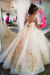 Princess A-line Champagne Flower Girl Dress with Gold Appliques