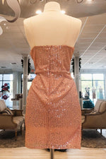 V-Neck Blush Sequined Short Homecoming Dress