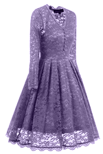 Long Sleeves Lace Wisteria Party Dress