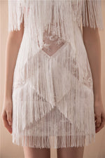 Ivory Tassel Appliques Short Homecoming Dress