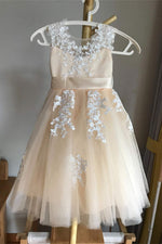 Cute Lace Champagne Flower Girl Dress