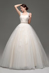 Long Lace-Up Back A-line Ivory Wedding Dress with Appliques