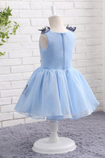 Light Blue Short Flower Girl Dress with Butterfly Applique