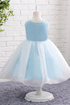 Ball Gown Light Blue Pearl Flower Girl Dress