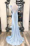 Feather Shoulder Blue Pleated Long Formal Dress