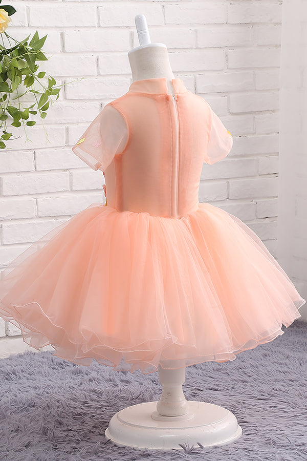Peach Appliques Tutu Dress, Flower Girl Dress