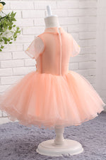 Peach Appliques Tutu Dress, Flower Girl Dress